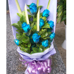 爱情鲜花・蓝玫瑰・爱久久